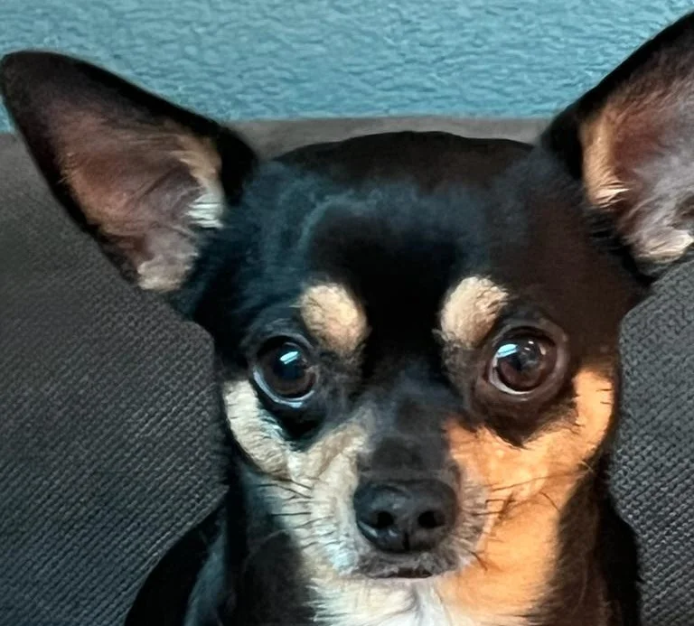 Pluto
